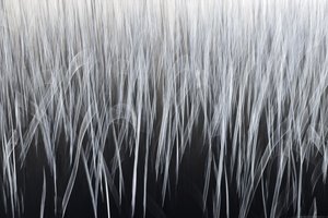 Líneas verticales etéreas de Christina Sillen