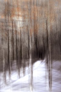 Bosque invernal etéreo de Christina Sillen