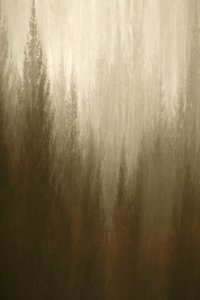 Niebla forestal de Christina Sillen