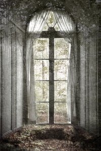 Ventana del Bosque Olvidado de Christina Sillen