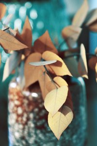 Hojas doradas de otoño de Christina Sillen