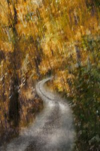 Camino del otoño dorado de Christina Sillen