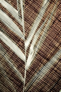 Detalle de una hoja intrincada de Christina Sillen