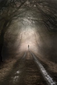 Una figura solitaria en un sendero brumoso de Christina Sillen