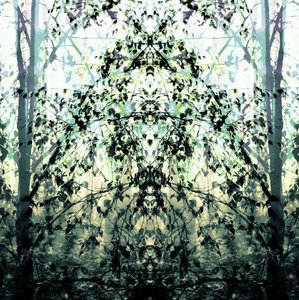 El sueño del bosque de espejos de Christina Sillen