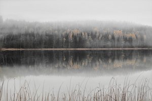 Lago otoñal envuelto en niebla