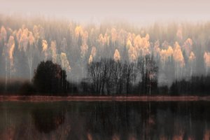 Reflejos brumosos de otoño de Christina Sillen