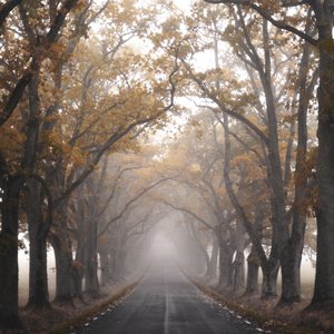 Carretera otoñal entre la niebla