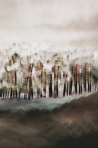 La serenidad del bosque brumoso de Christina Sillen