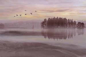 El vuelo de las aves sobre el lago Misty de Christina Sillen