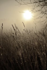 Sol matutino entre la niebla de Christina Sillen