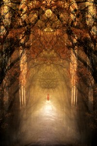El túnel del bosque místico de Christina Sillen