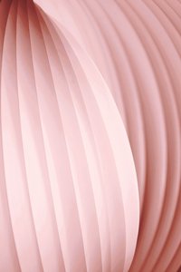 Curvas abstractas en rosa de Christina Sillen