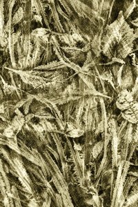 Textura de hoja rústica de Christina Sillen