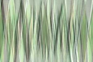 Hojas verdes serenas de Christina Sillen