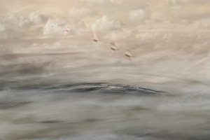 Silver Haze de Christina Sillen