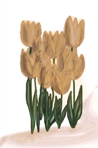 Tulipanes de color beige suave de Christina Sillen