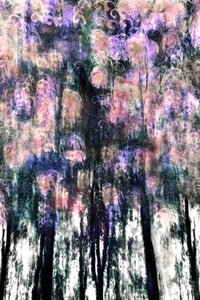 Sueños de un bosque lleno de vida de Christina Sillen