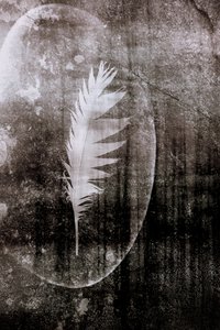 Luna de la Pluma Blanca de Christina Sillen
