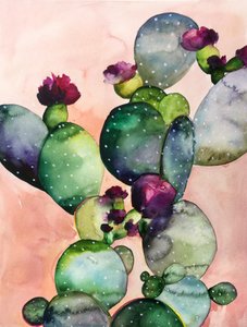 Coloridas flores de cactus de Christine Lindstrom