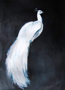 Elegante pavo real blanco de Christine Lindstrom