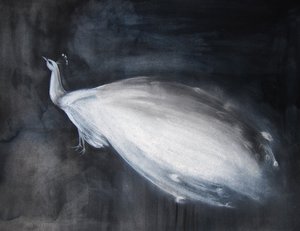 Pavo real blanco etéreo de Christine Lindstrom