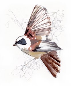 Pájaro volador en acuarela de Christine Lindstrom