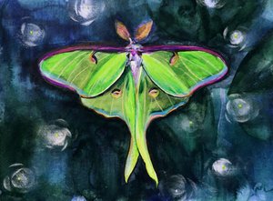 Polilla Luna luminosa de Christine Lindstrom