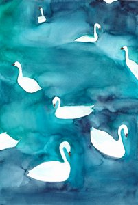 Graciosos cisnes en el agua de Christine Lindstrom