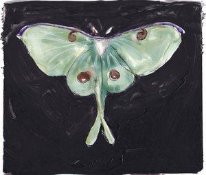 Polilla Luna Verde de Christine Lindstrom