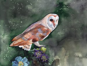 Lechuza común nocturna de Christine Lindstrom