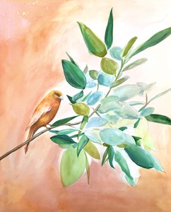 Pájaro naranja en una rama de Christine Lindstrom