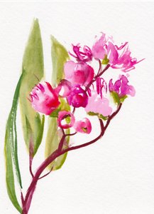 Flores de un rosa intenso de Christine Lindstrom