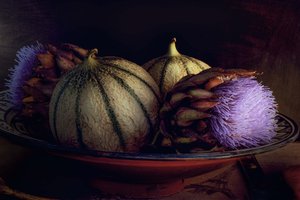 Melones y cardos morados de Christine SUISSIA