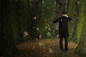 El viaje del hombre por el bosque de Christine von Diepenbroek