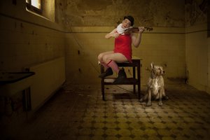 Serenata en una habitación peculiar