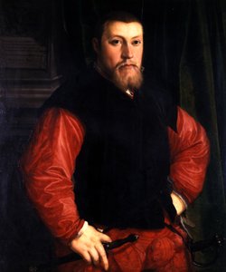 Hieronymus Sulczer de Christoph Amberger