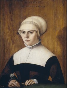 La esposa de Jörg Zörer, a la edad de 28 años, 1531 de Christoph Amberger