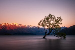 El lago del crepúsculo y el árbol solitario de Christoph Schaarschmidt