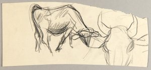 Bueyes de Christoph Voll