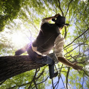 El hombre en la copa del árbol