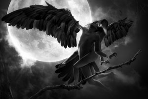 Abrazo alado a la luz de la luna