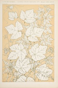 Hojas de la naturaleza, 1868