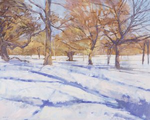 Invierno, Parque Richmond de Christopher Glanville