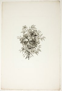 Ramo con amapolas, de la colección de diferentes ramos de flores, inventado y dibujado por Jean Pillement y grabado por P. C. Canot de Christopher Norton