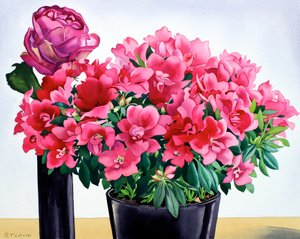 Rosa azalea de Christopher Ryland