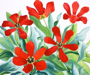 Tulipanes Madame Lefeber 2 de Christopher Ryland