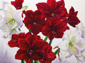 Amarilis Rojas y Blancas, 2008 de Christopher Ryland