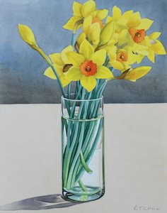 Narcisos de supermercado, 2022 (acuarela sobre papel) de Christopher Ryland