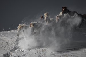  de Chuanxu Ren